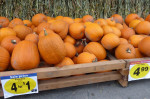 Overal pompoenen, binnenkort Halloween